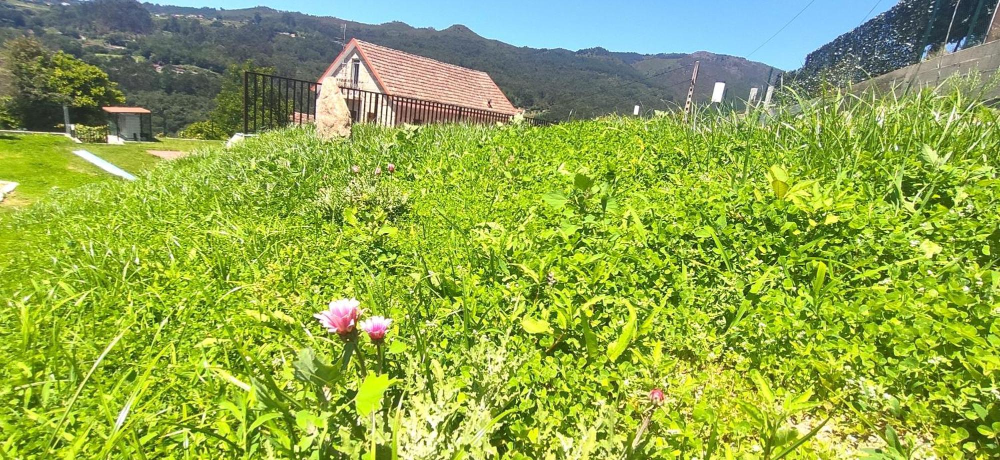 Casa A Mi Vera Covelo  Bagian luar foto